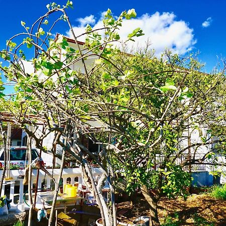 House Mariposa Hotel Trogir Ngoại thất bức ảnh